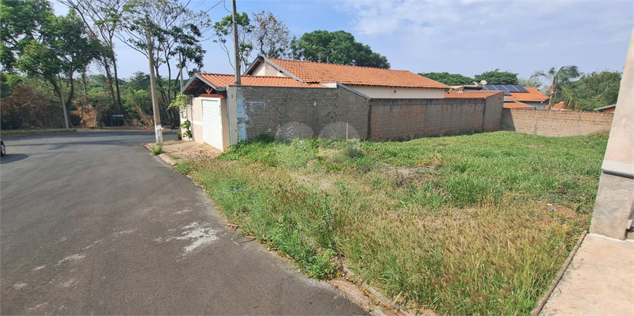 Foto REO1131536