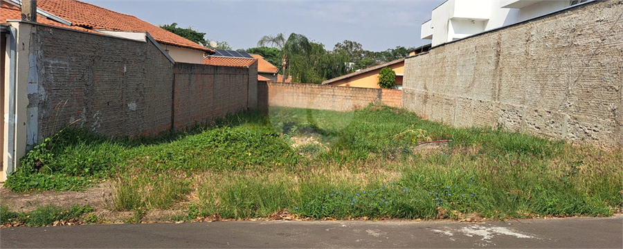 Foto REO1131536