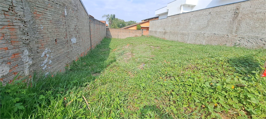 Foto REO1131536