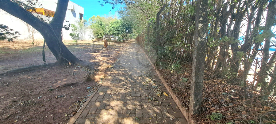 Foto REO1131536