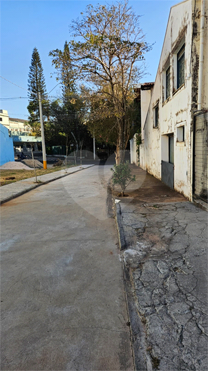 Foto REO1131542