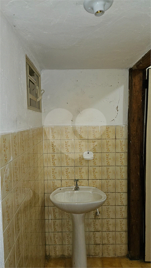 Foto REO1131542