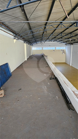 Foto REO1131542