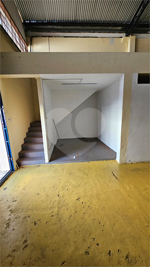 Foto REO1131542