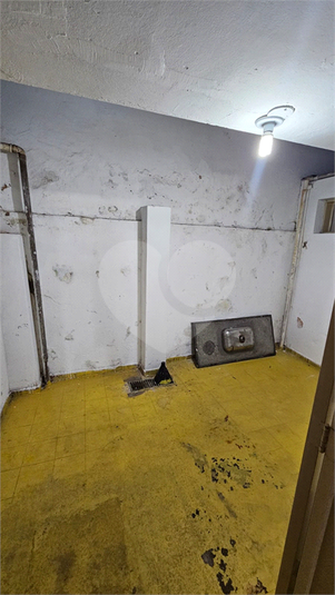 Foto REO1131542