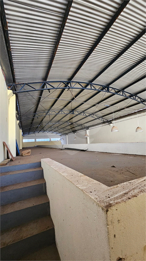Foto REO1131542