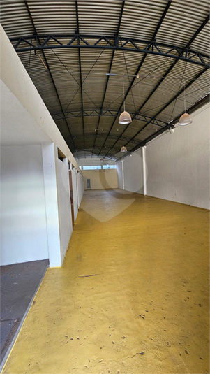 Foto REO1131542