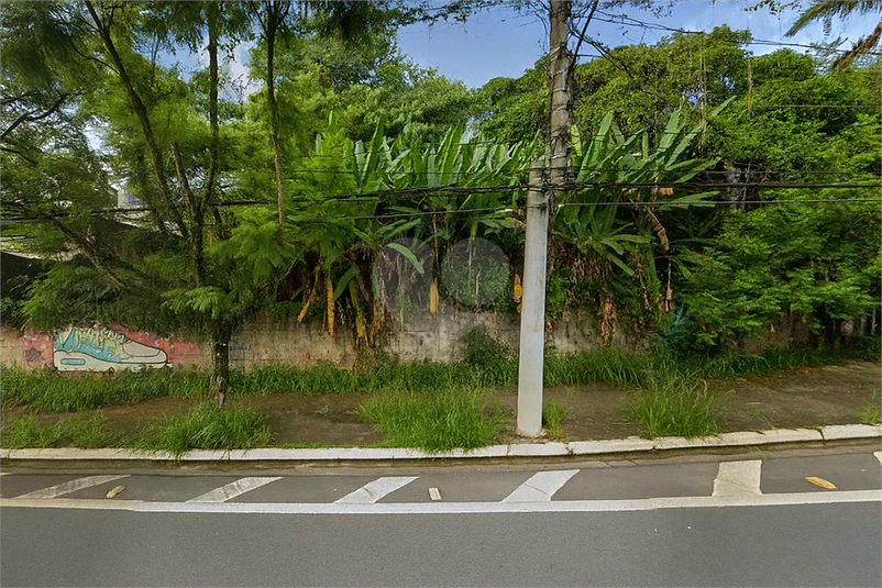 Foto REO1131549