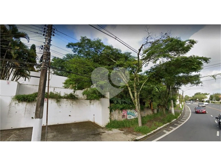 Foto REO1131549