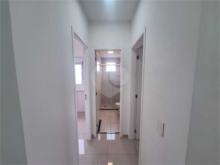Foto REO1131552