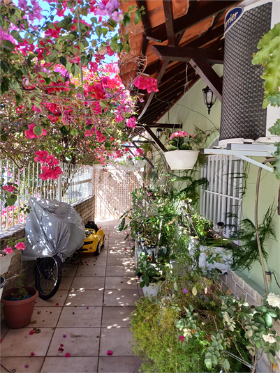Foto REO1131562