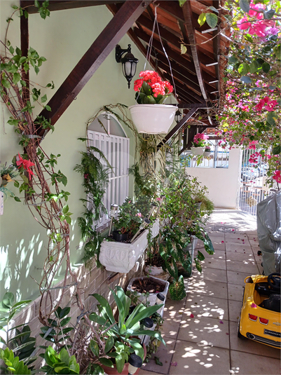 Foto REO1131562