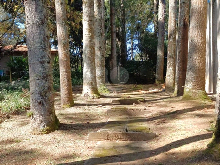 Foto REO1131567