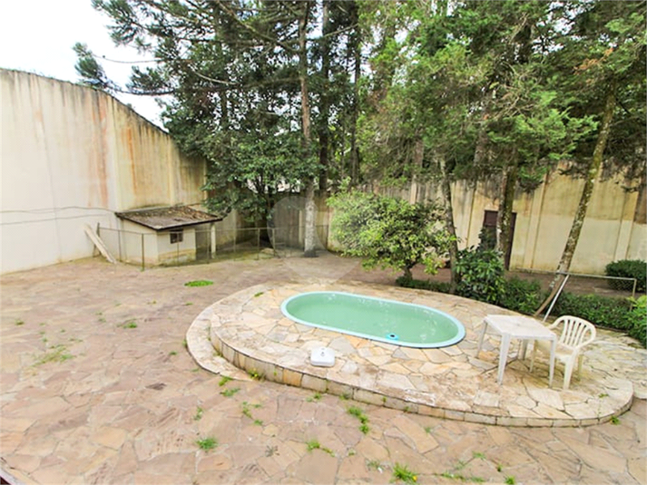 Foto REO1131567