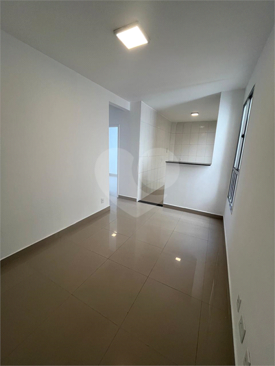 Foto REO1131575