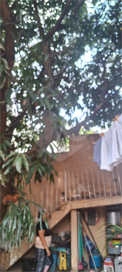 Foto REO1131578
