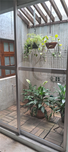 Foto REO1131578