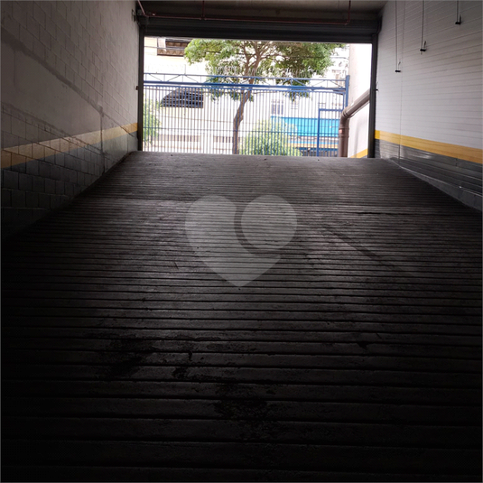Foto REO1131579