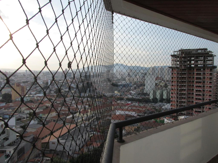 Foto REO1131580