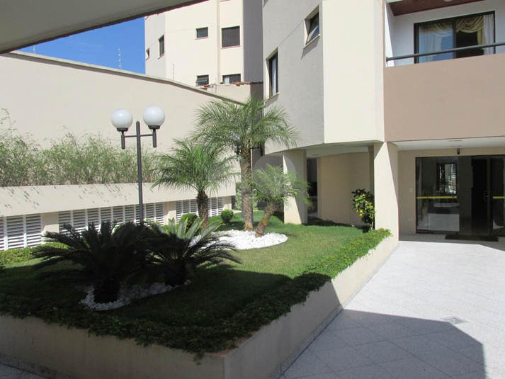 Foto REO1131580