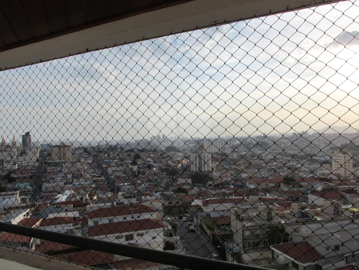 Foto REO1131580