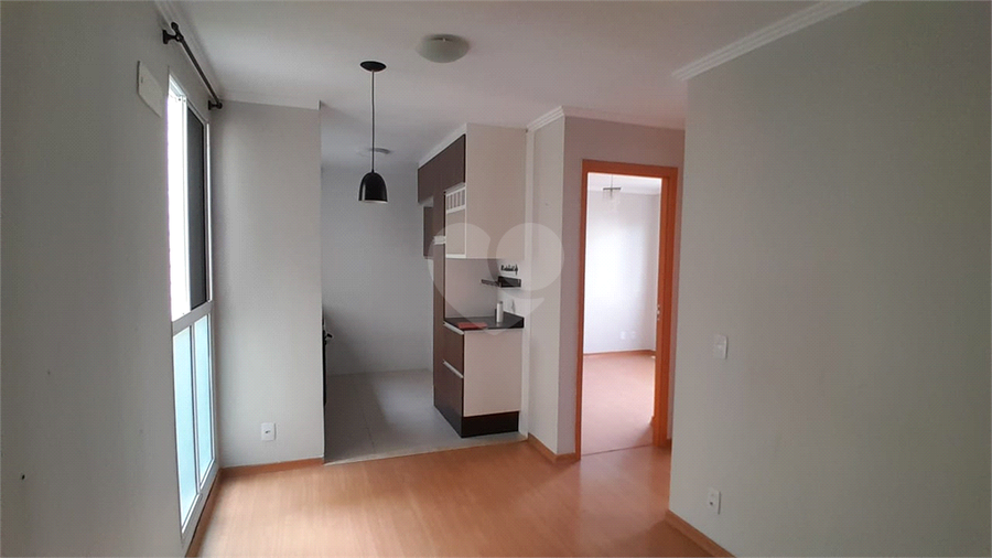 Foto REO1131586