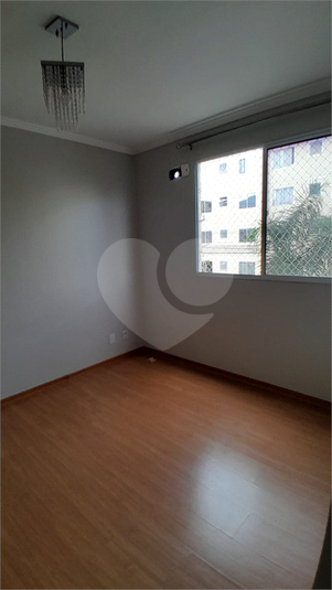 Foto REO1131586