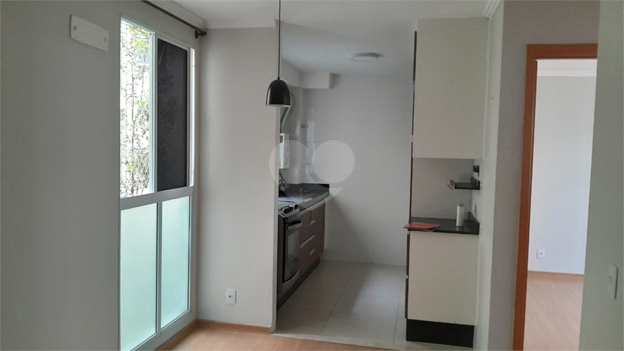 Foto REO1131586