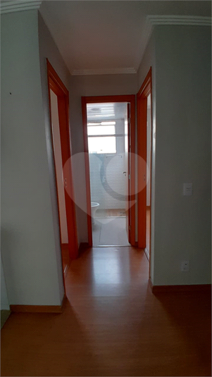 Foto REO1131586
