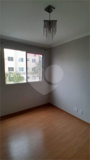 Foto REO1131586