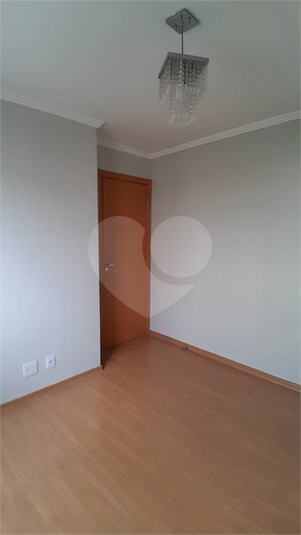 Foto REO1131586