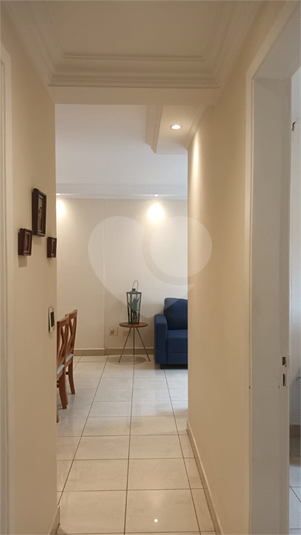 Foto REO1131595
