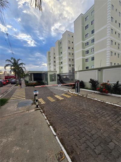Foto REO1131599