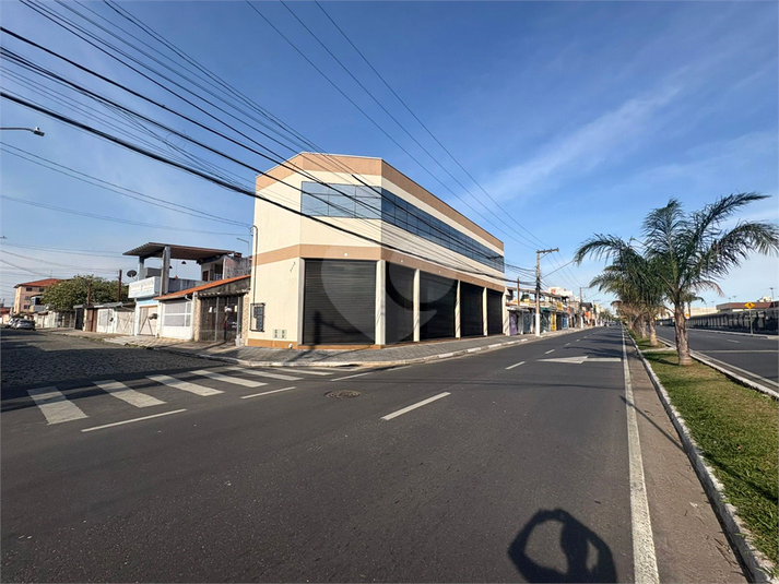 Foto REO1131604