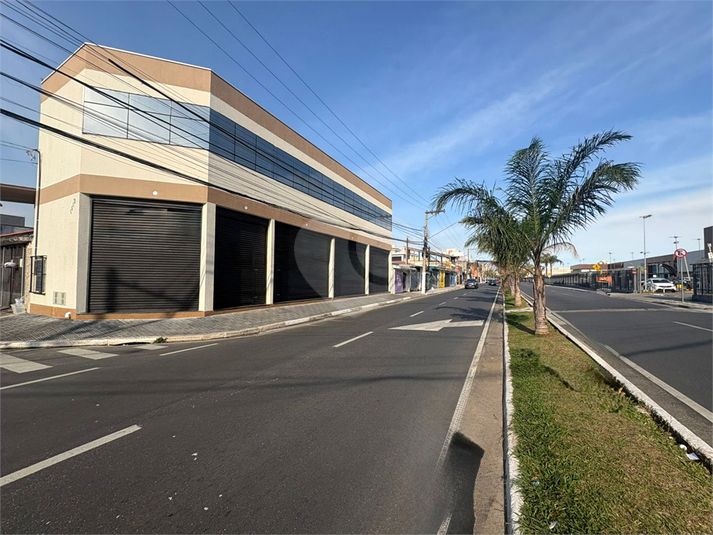 Foto REO1131604