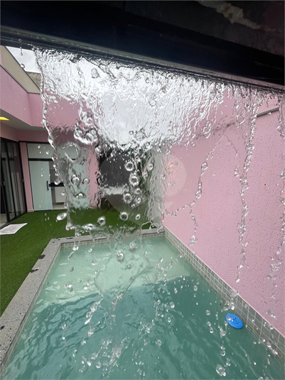 Foto REO1131611
