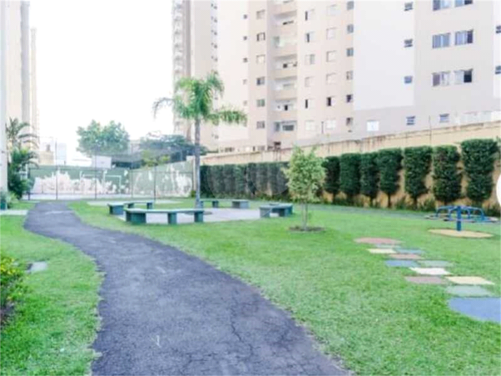 Foto REO1131614