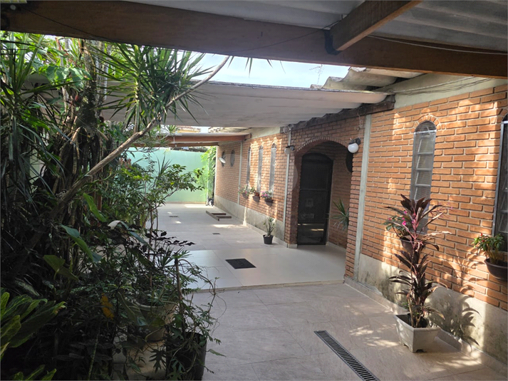 Foto REO1131646