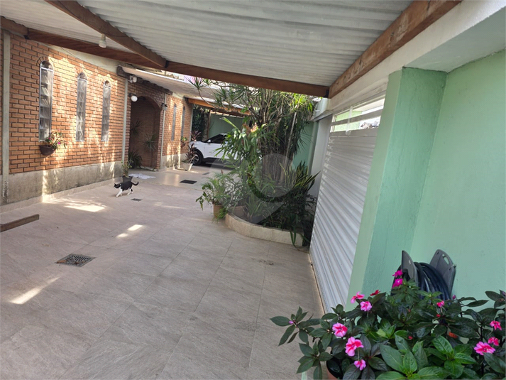 Foto REO1131646