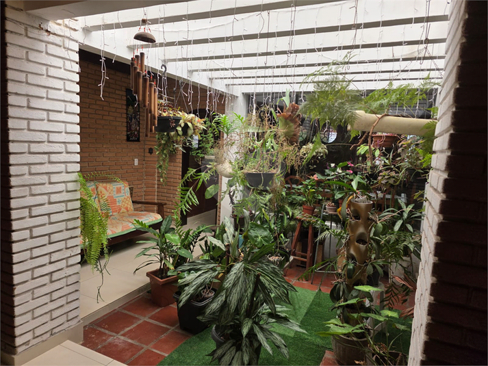 Foto REO1131646