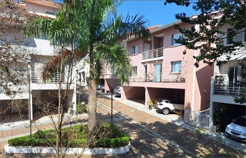 Foto REO1131663