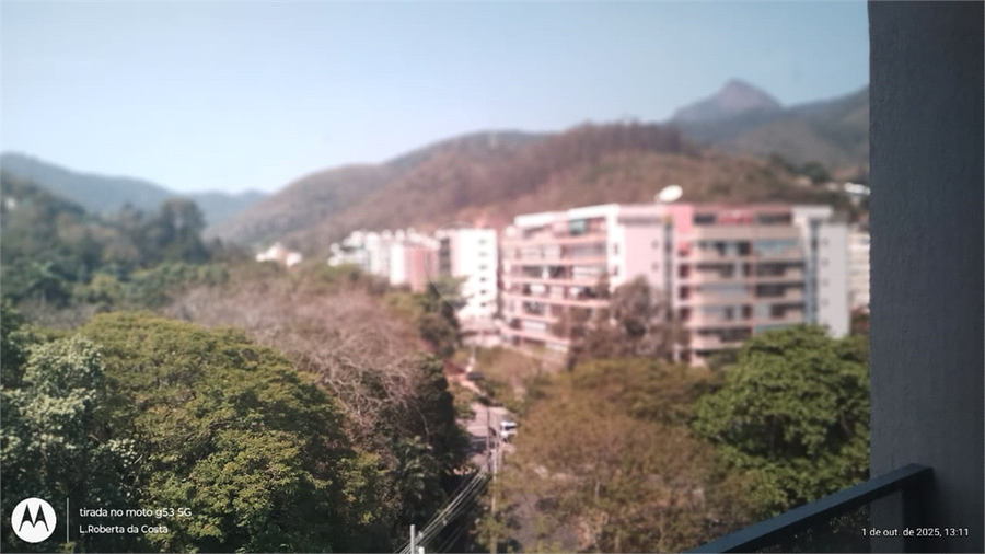 Foto REO1131669