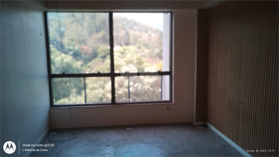 Foto REO1131669