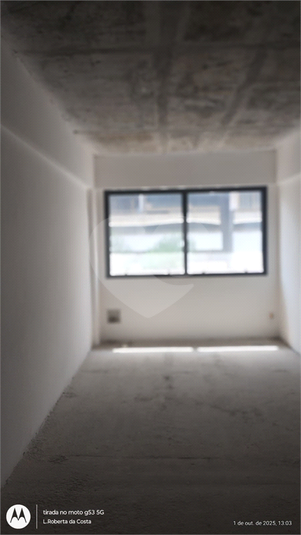 Foto REO1131669