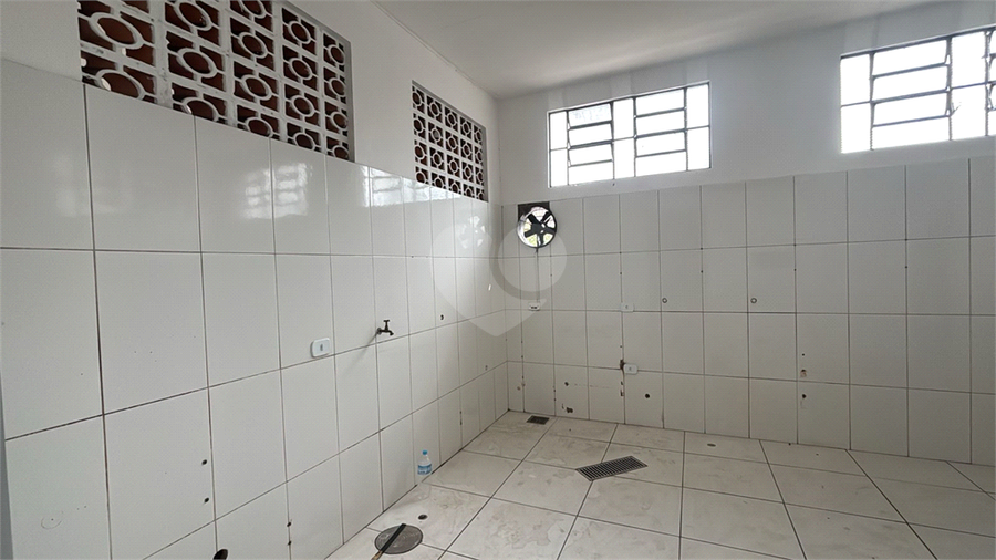 Foto REO1131675