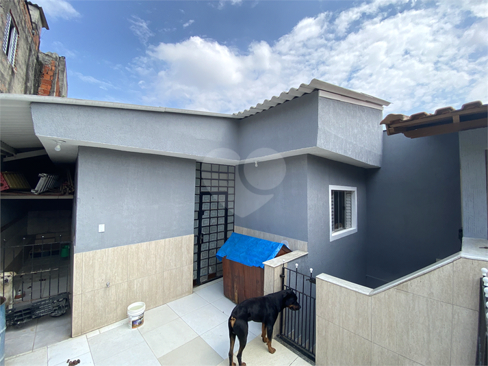 Foto REO1131692