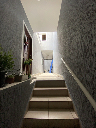Foto REO1131692