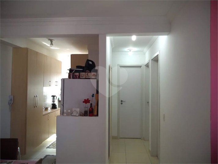 Foto REO1131697