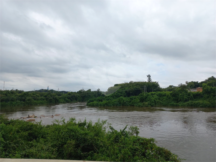 Foto REO1131699
