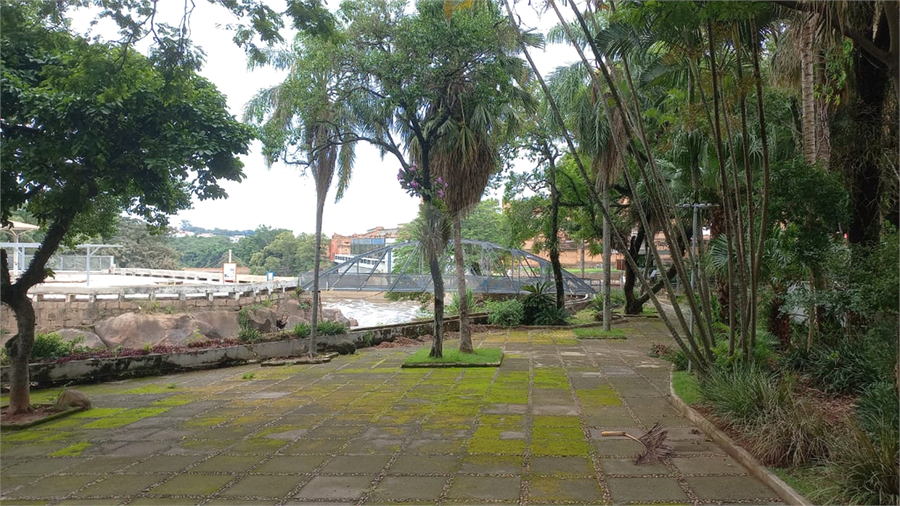 Foto REO1131699